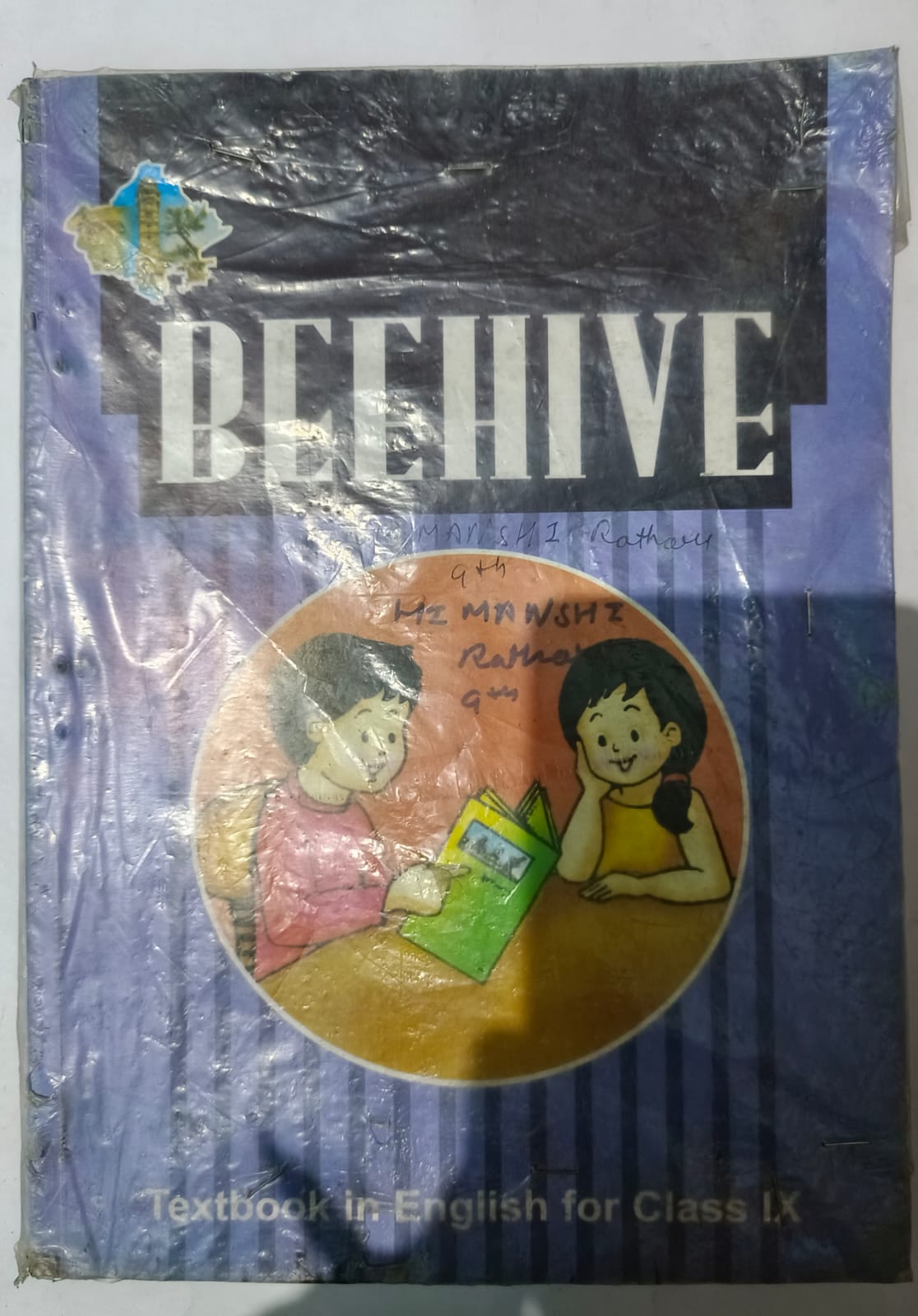 book review of beehive class 9