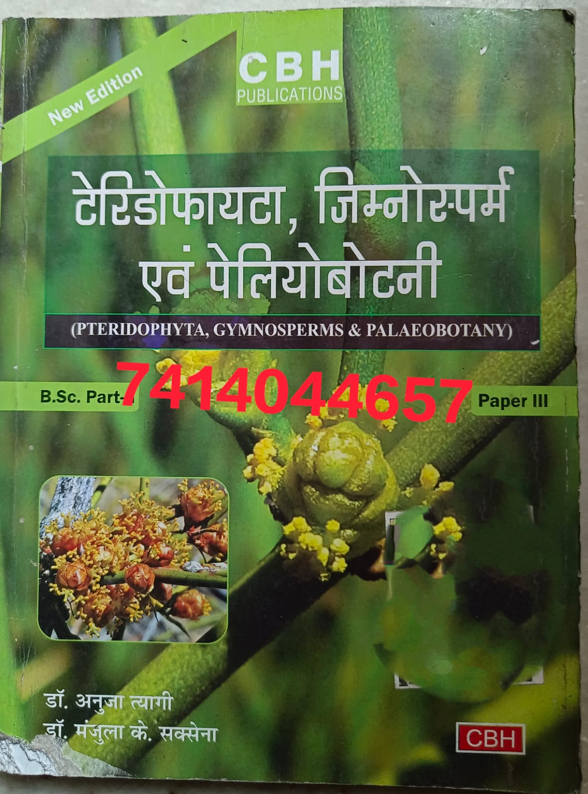 Pteridophyta, gymnosperms and palaeobotany used old second hand book hindi medium